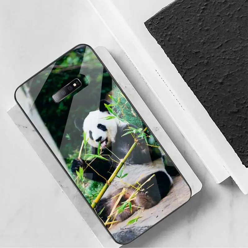 

Panda cute animal black eyes funda cover coque Phone Case Tempered glass For Samsung S6 S7 edge S8 S9 S10 e plus note8 9 10 pro