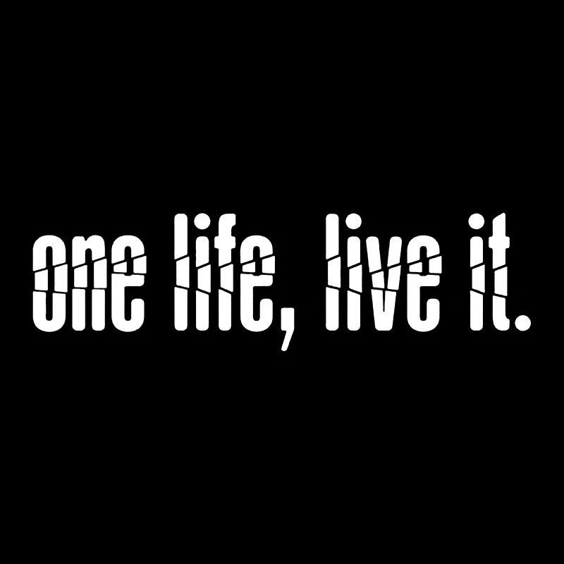 

15*4.1cm One Life Live It Sticker Vinyl Decal Car Window Bumper Decor Decals Vinyl Hobby Car Bumper Sticker