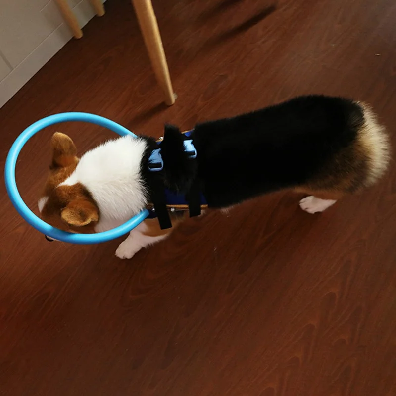 2020 кольцо против столкновений для слепых питомцев защитное защиты животных