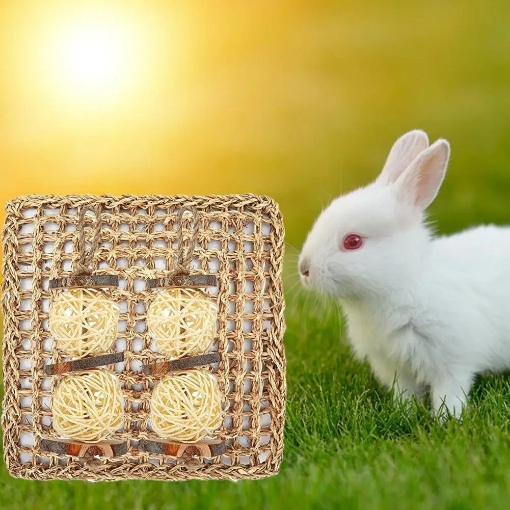 

Rabbit Toys Hamster Sepak Takraw Chew Toys Hamster Toys Cozy Hamster Toys