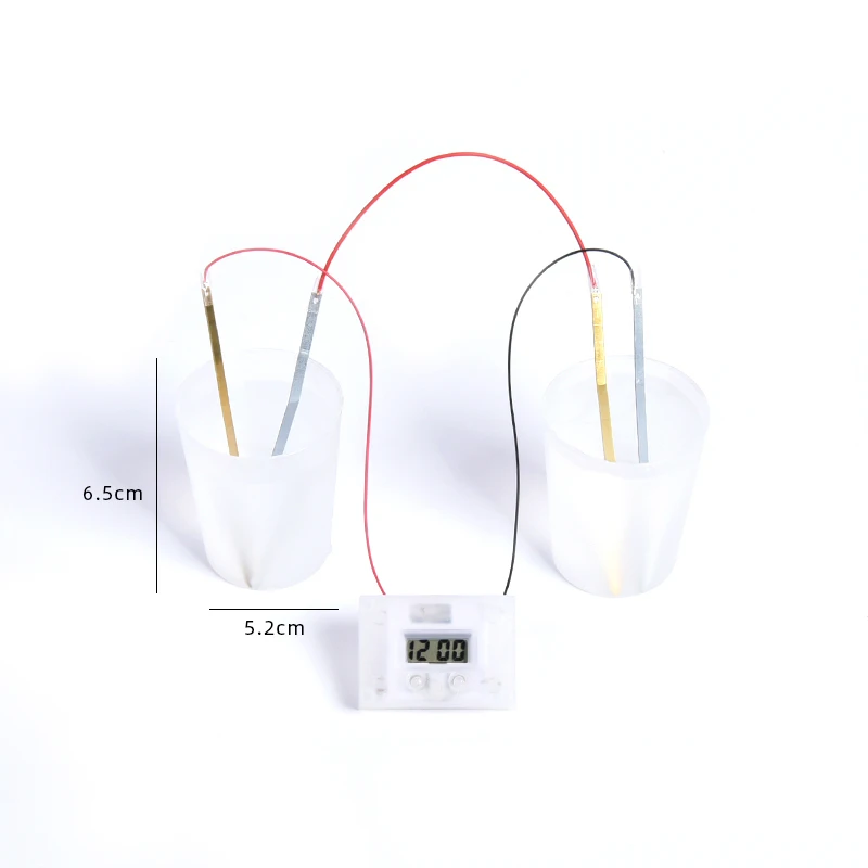 SZ паровые часы картофель электрохимический клеточный эксперимент Материал