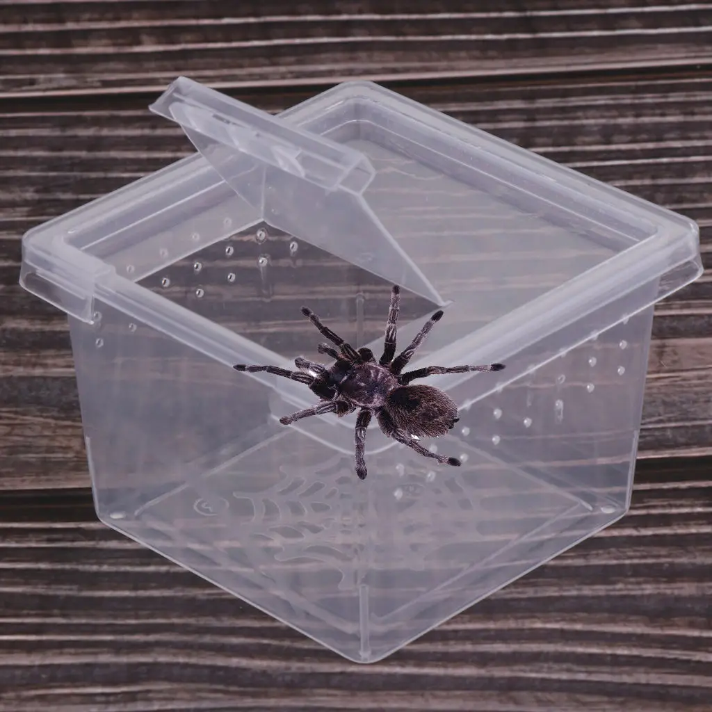 

30pcs Insects Reptiles Spiders Terrariums Breeding Breeding Box Container