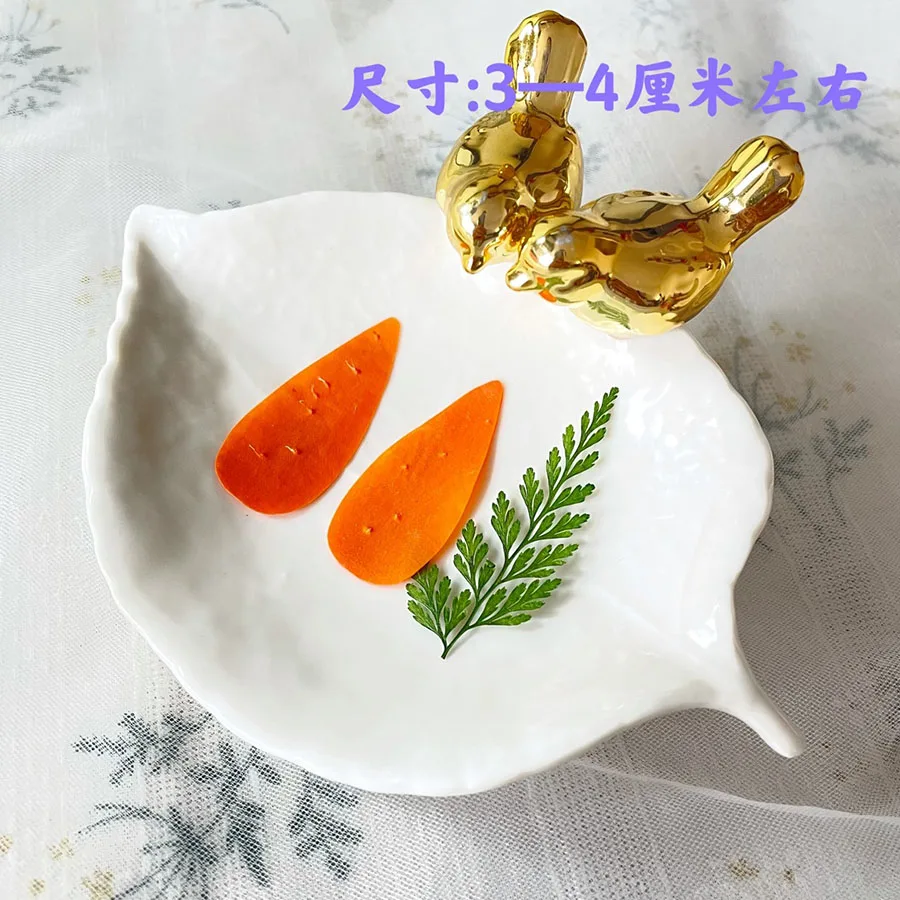 

6pcs Dried Pressed Carrot Fruit Vegetable Slices Plant Herbarium For Exopy Jewelry Photo Frame Phone Case Bookmark Scrapbook DIY