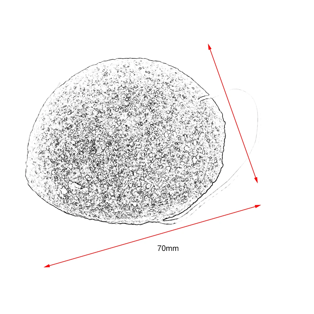 

Natural Konjac Sponge Facial Care Cleaning Washing Sponge Whitening Deeply Cleansing Pores Sponge Skin Care Tools