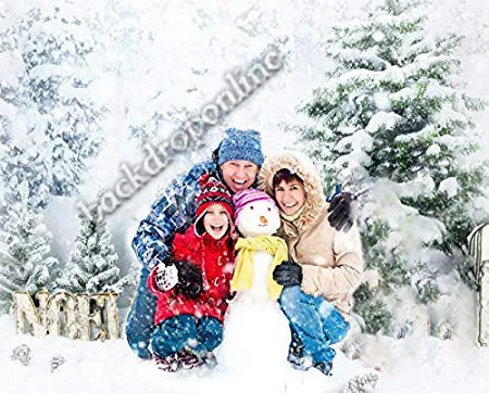 Деревянный фон для фотосъемки Зимний снег Рождество фон для фотосъемки веселое Рождество реквизит для фотосъемки внутренний Декор виниловый тканевый фон