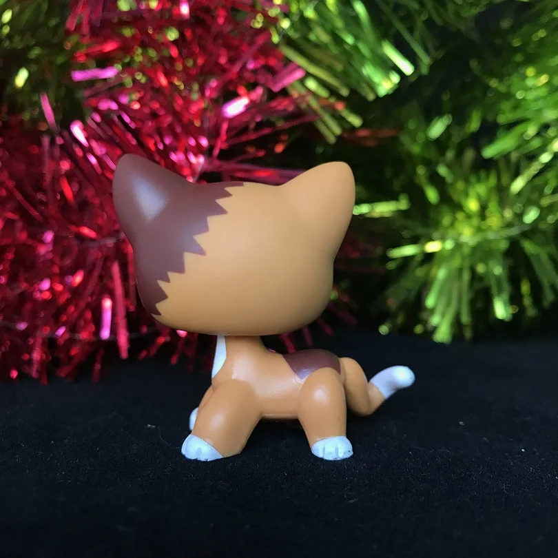 Зоотовары Littlest игрушка короткая шерсть кошка пламя щенок редкий с 4 шт.