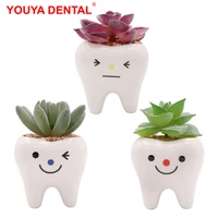 dental tooth shape flower vase home decoration pot creative garden planter pot ceramic pen holder cute dentistry dentist gifts