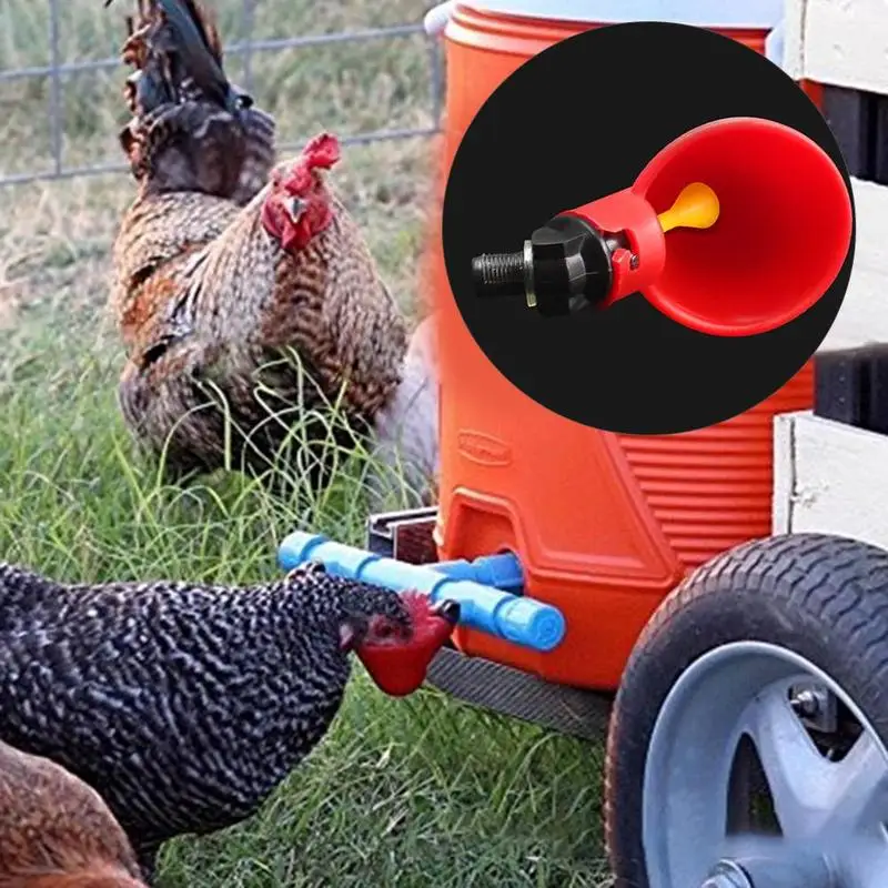 1 шт. Пластик автоматический питьевой воды куриный голубь Воробей Попугай Птицы