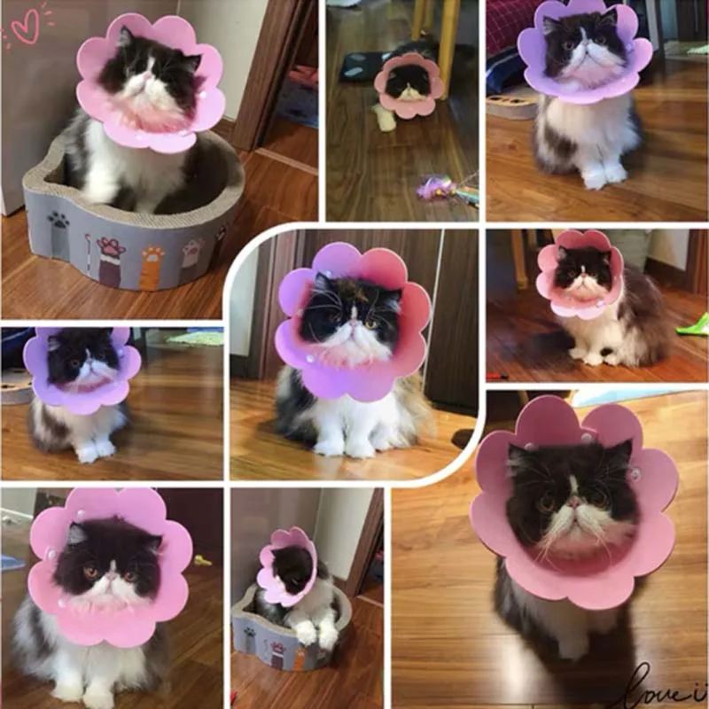 Регулируемый ошейник для собак и кошек мягкий конус заживления Ранок умный