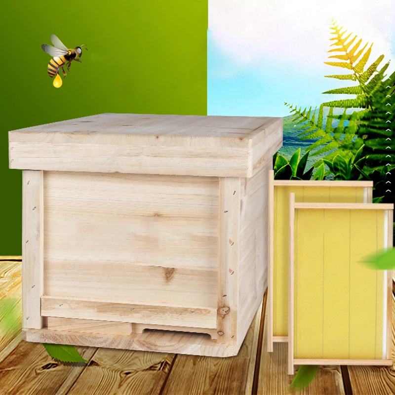 Chinese Fir Beehive Beekeeping Tool Set Pine Wooden Bee Hives In Beehive Box