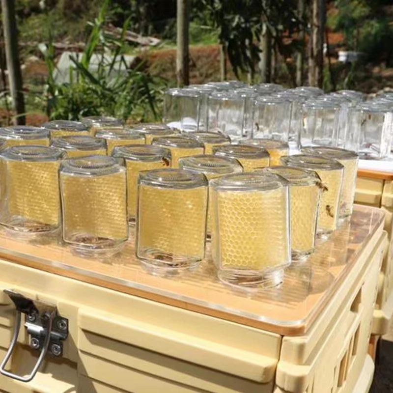 Bote exprimidor de miel en forma de peine X50, Combo para la producci&oacute;n de miel, Combo para la fabricaci&oacute;n de tarros-4