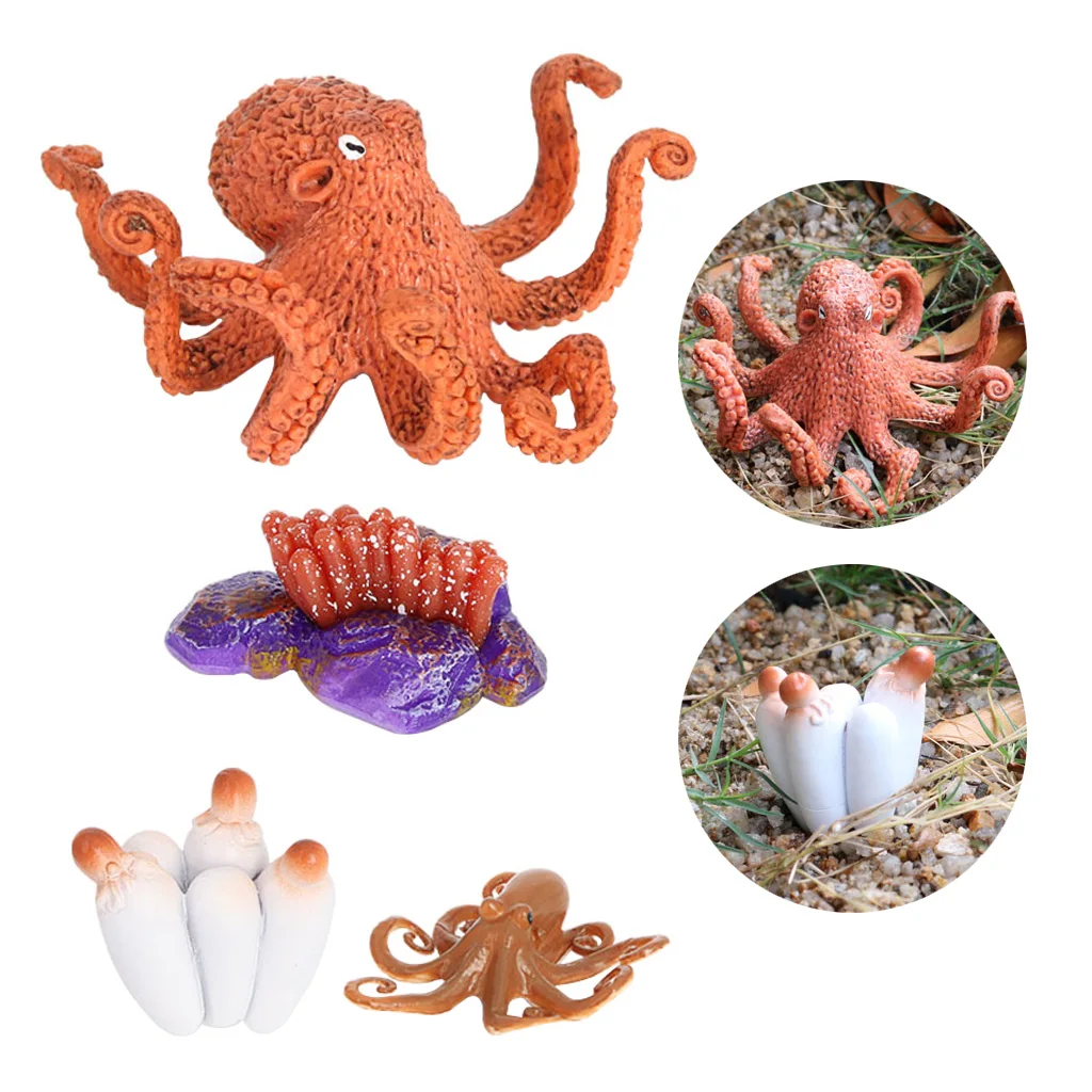 

Baby Early Educational Development Preschool Toy Devilfish Life Cycle Model