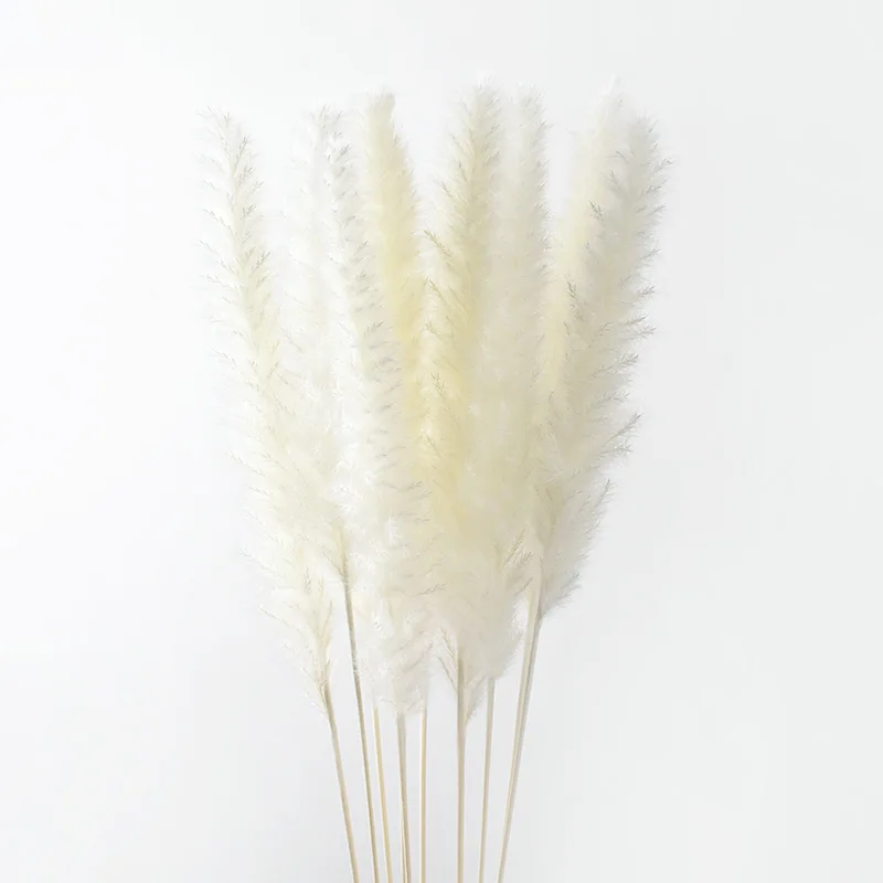 

10pcs Natural Dryness Wedding Bouquet A Favorite Wedding Color Within The Natural Dried Pampas Grass Decor Wedding Flower