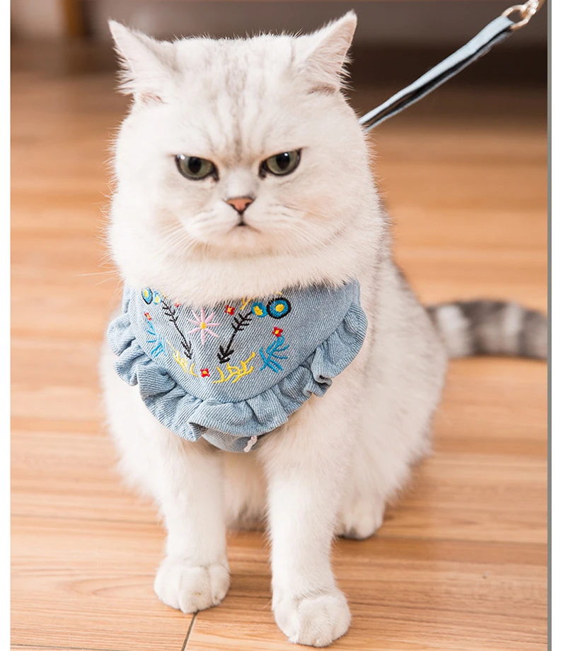 2020 новый модный поводок для кошек ошейник домашних животных регулируемый собак