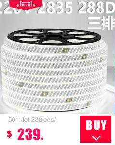 Fanlive 50 м AC220V 110 В Светодиодная лента 5050 60 Светодиодный s/M IP67 водонепроницаемый RGB, 16 цветов веревка освещение для наружного радиочастотного пульта дистанционного управления