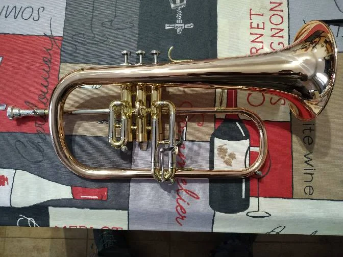 Профессиональная Роза Buluke из латуни Flugelhorn l тюнинг Bb Flugel horn с чехлом и мундштуком |