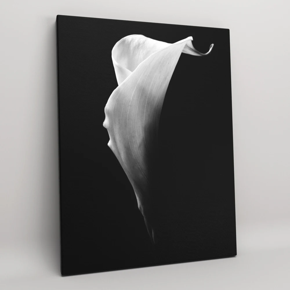 Постер на холсте декор для дома картина интерьера &quotЧерно-белый цветок&quot