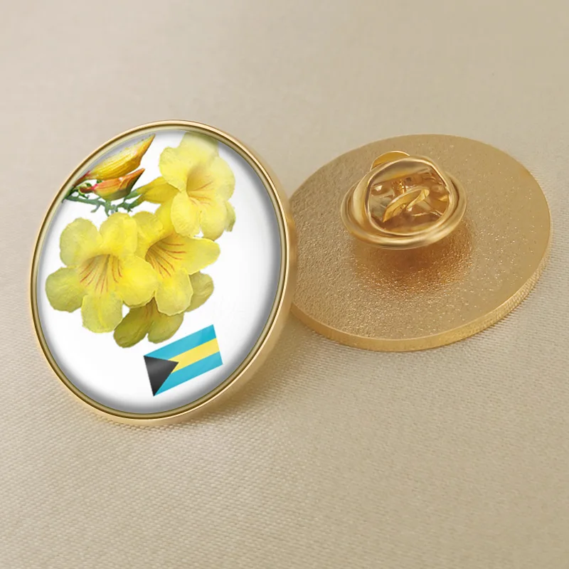 Герб Багамские Острова Багамский карта Национальный флаг Эмблема с национальным