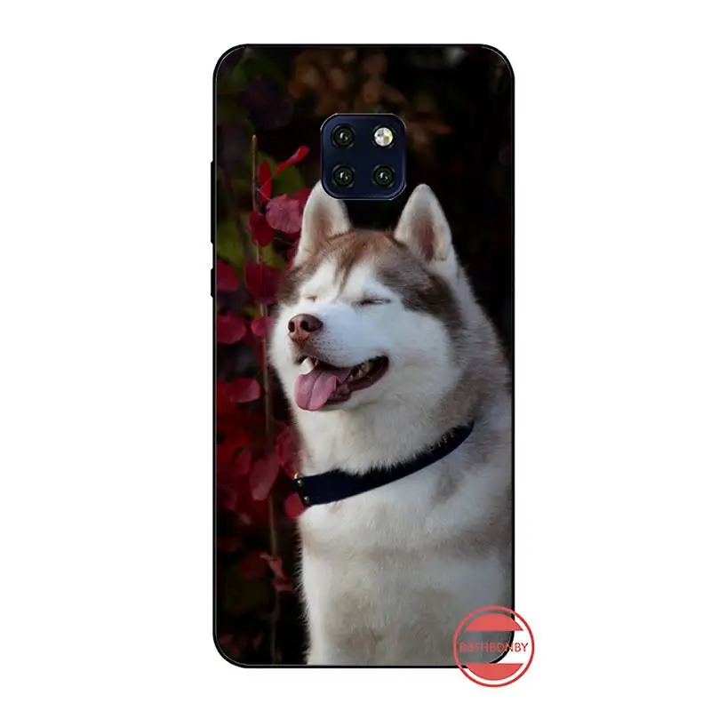 Милый мягкий силиконовый чехол для телефона из ТПУ с изображением собаки хаски