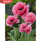 Алмазная живопись HUACAN, мозаика с цветком мака, полноразмернаякруглая вышивка крестиком, цветочный Декор для дома