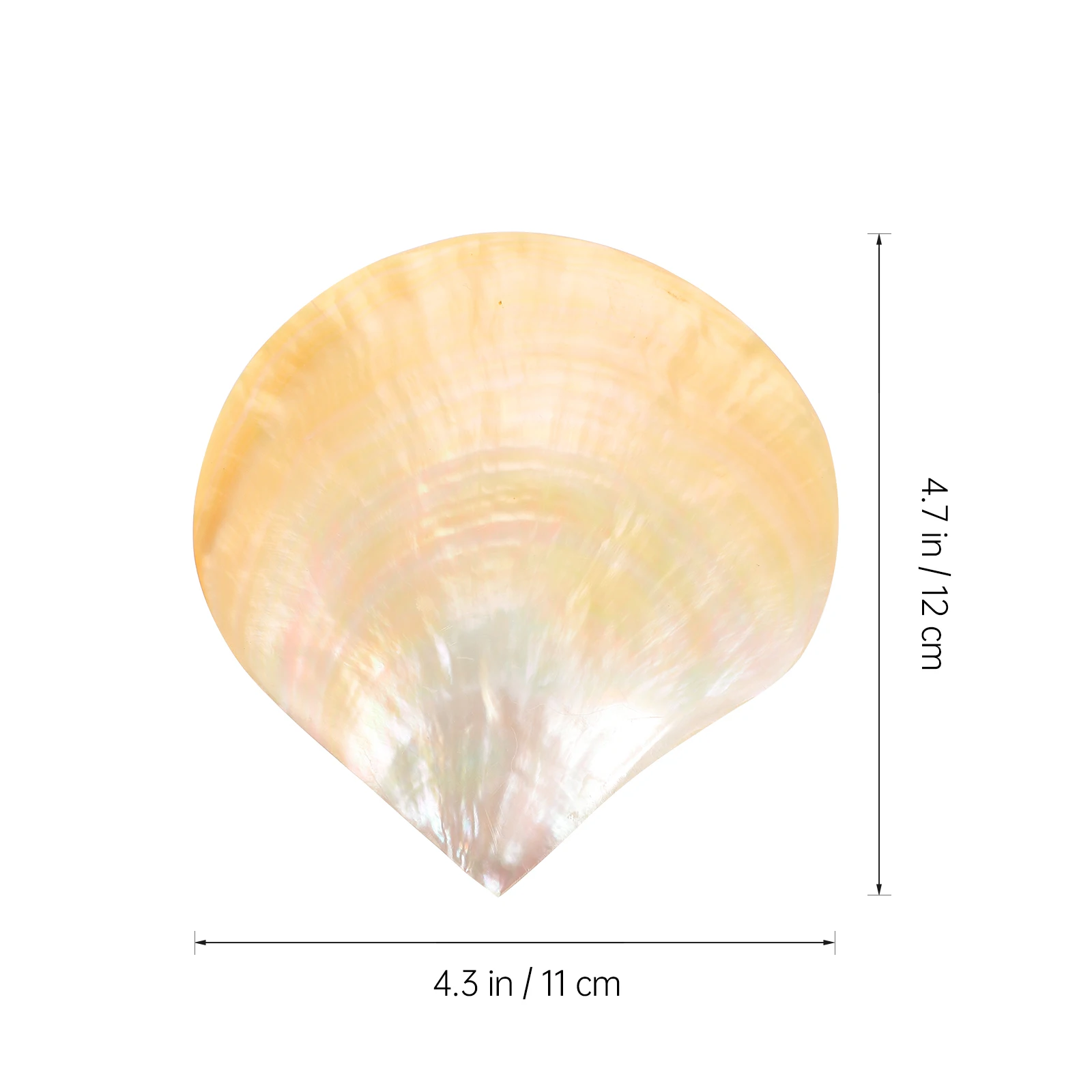 

1Pc Mask Storage Plate Shell Shaped Organizer Tray Creative Photo Prop