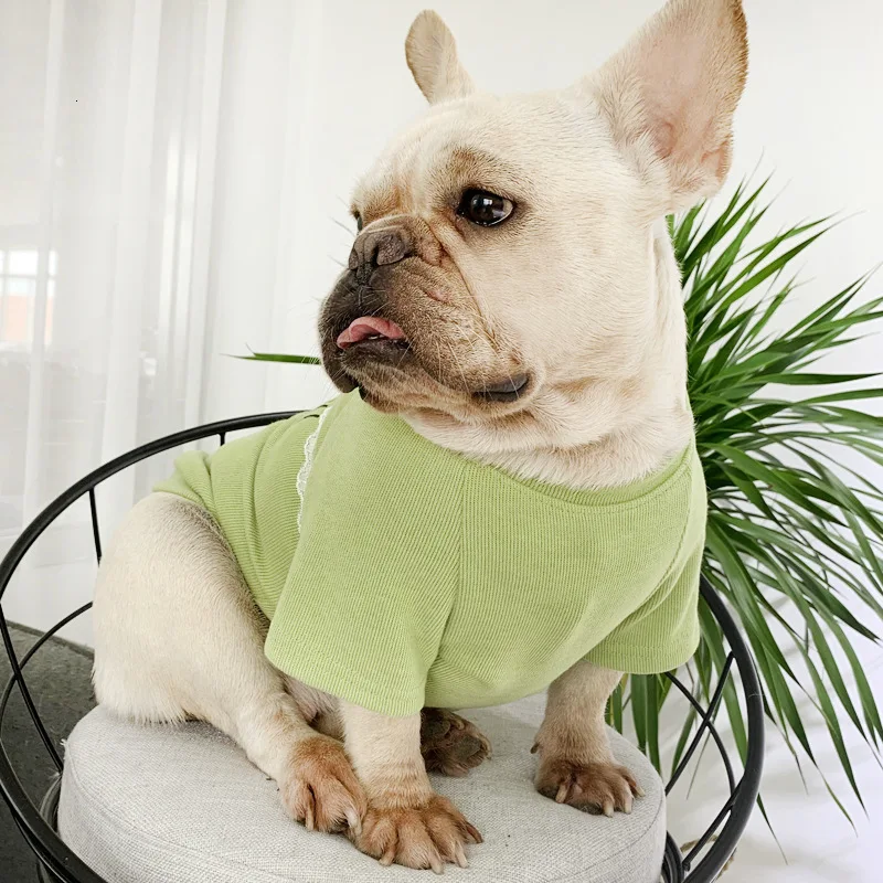 Осенняя собака одинаковые худи одежда мягкая для собак с длинными рукавами и