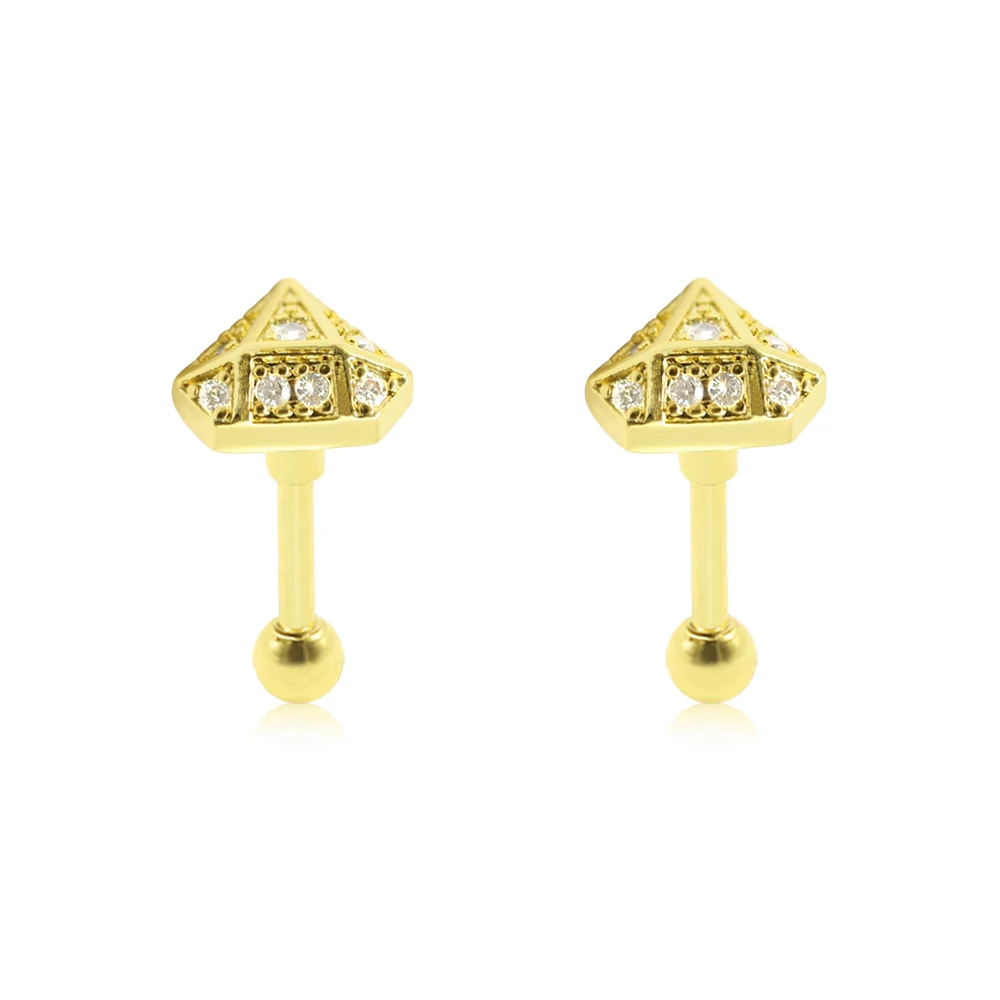 

2Pcs 16G Stainless Steel Irregular Piercing Earring Labret Stud Cubic Zircon Cartilage Ear Bone Best Gift For Women&Girls