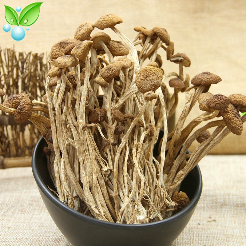 

Dried Mushrooms;Tea Tree Mushrooms; Fresh and Tender; Local Specialties of Agricultural Products