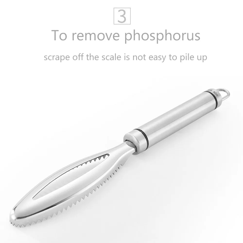 

Fish Cleaning Scraping Scales Fish Knife Cleaning Peeler Scaler Scraper Fast Cleaning Fish Skin Stainless Steel Fish Brush