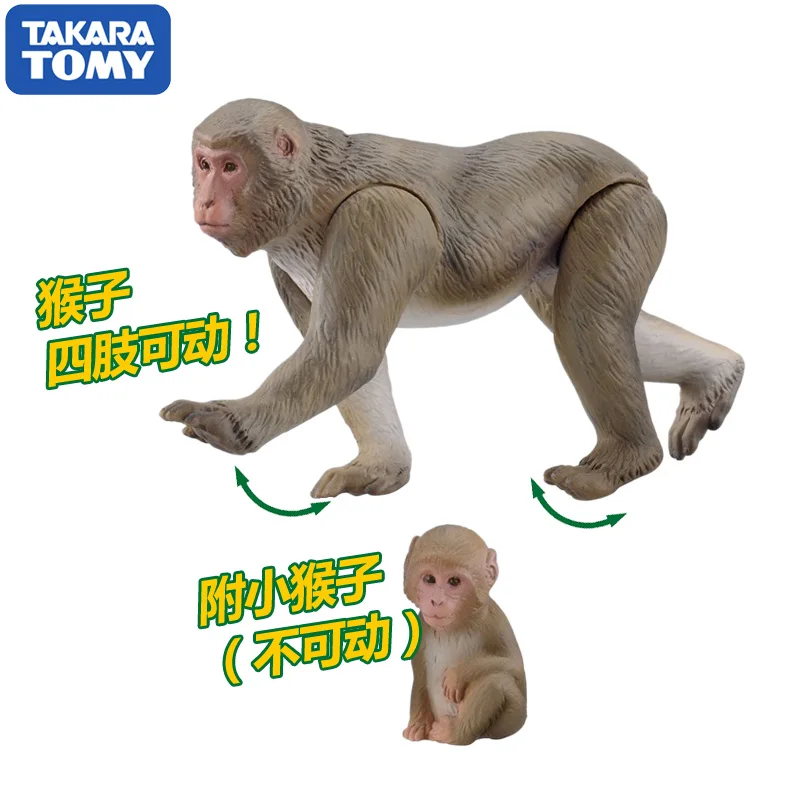 Takara Tomy ANIA Animal Advanture Monkey 2 шт. дикая ABS фигурка детские развивающие игрушки|Игровые
