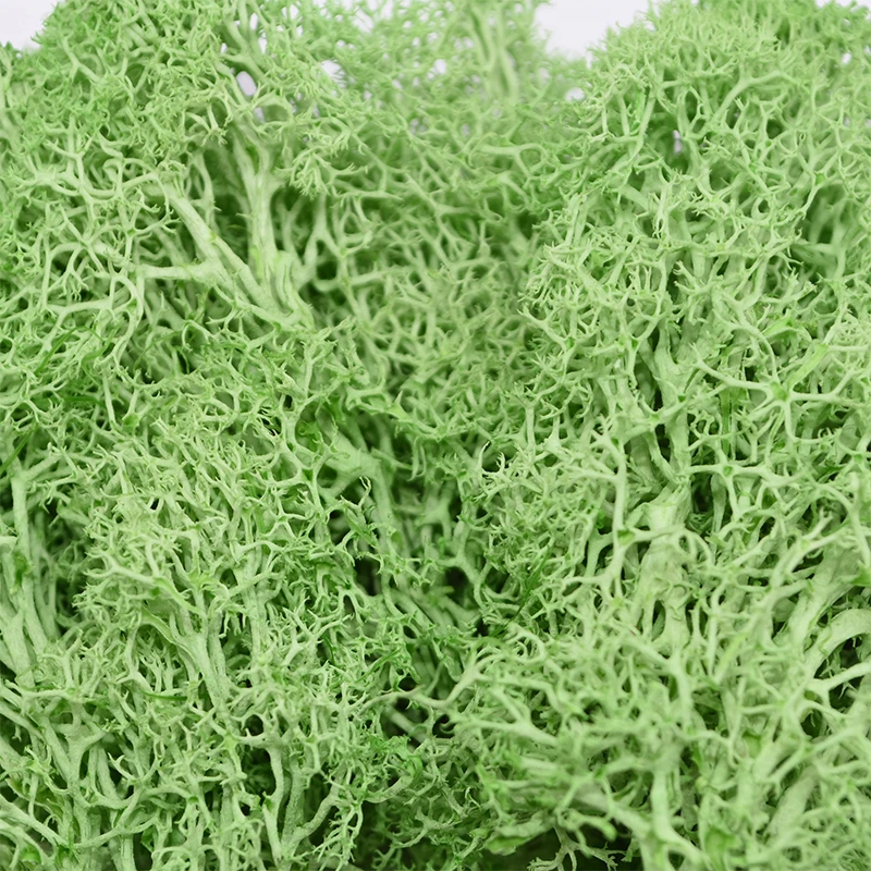 Искусственные растения вечная жизнь мох украшение для дома сада комнаты DIY