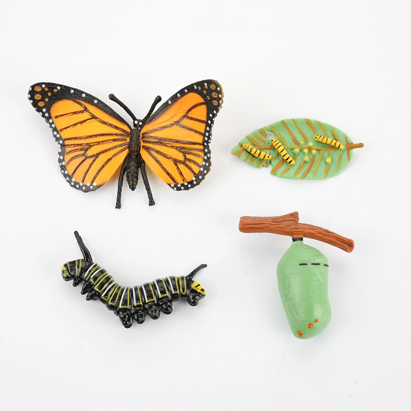 

Simulation Life Cycle Figurine Monarch Butterfly Growth Educational Toy