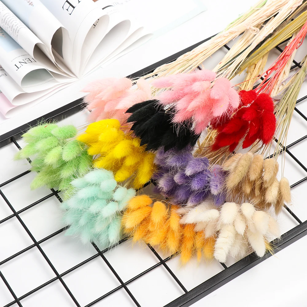 20Pcs Natural Dried Flowers Colorful Fake Rabbit Tail Grass Bouquet Long Bunches Artificial Flower Shooting Props DIY Home Decor | Дом и сад