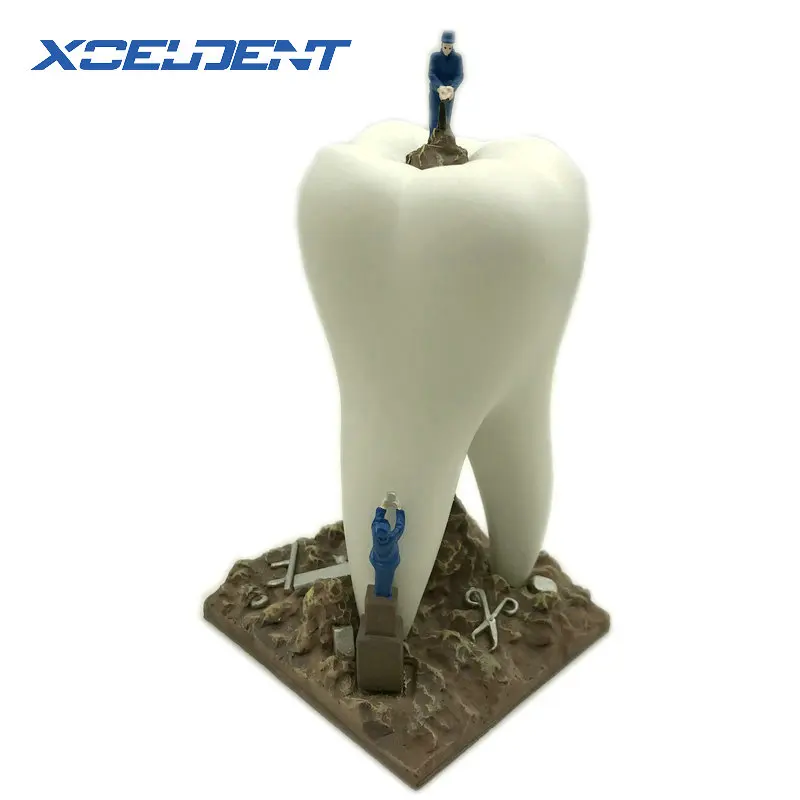 1 шт. изделия из смолы игрушки в подарок для дантиста зубные нити предметы