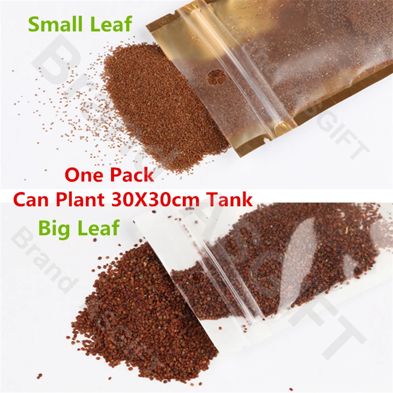 6 видов аквариумных растений водная трава гемиантус каллитрихоиды газон ковер