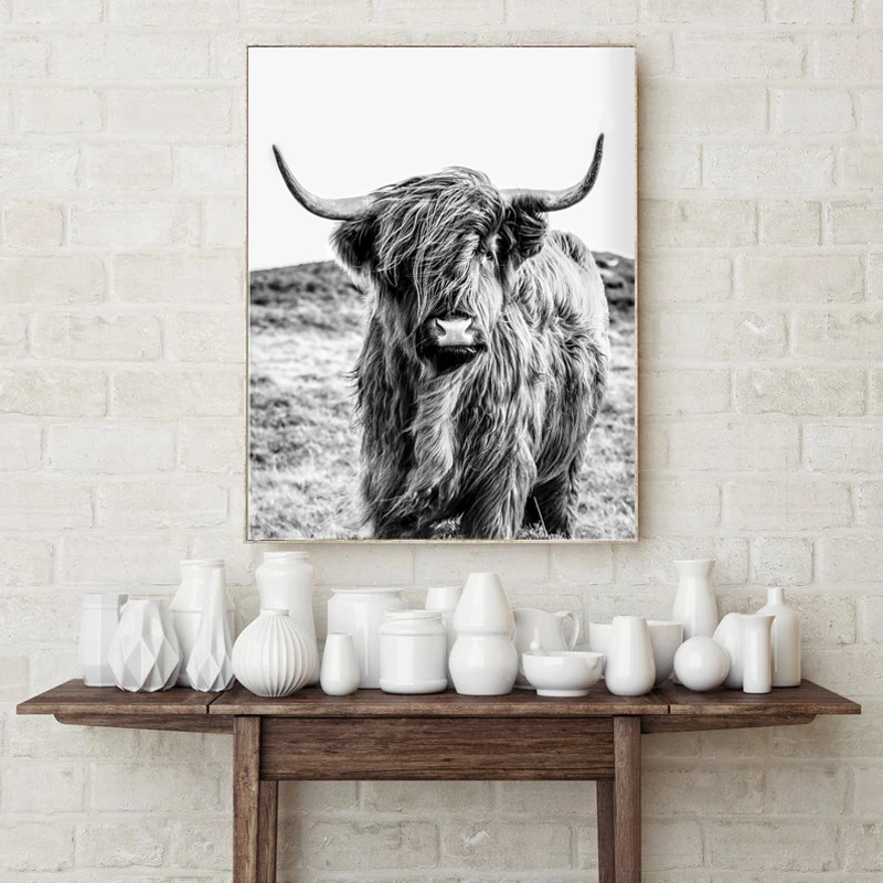 Животноводческая ферма Highland корова фотографии Wall Art Холст Картина Плакаты принты
