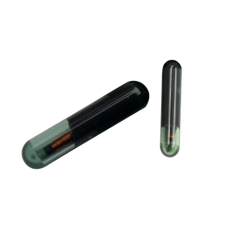 

Free shipping,Blank ID48 glass transponder chip ID 48 ID48 chip , Car Key Chip