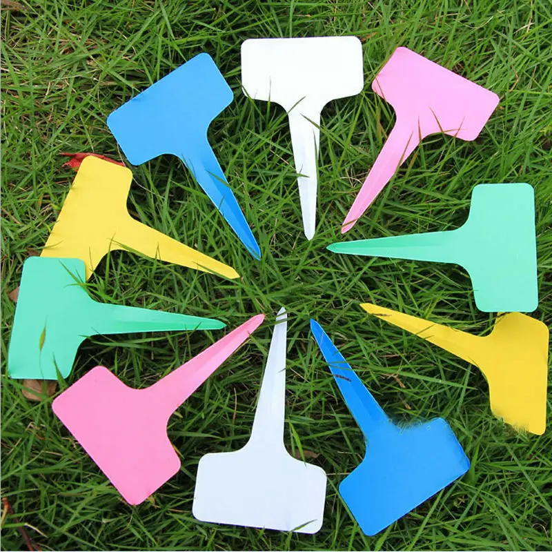 

100X Kunststoff Pflanzen T-typ Tags Marker Kindergarten Gartenpflanze Etiketten