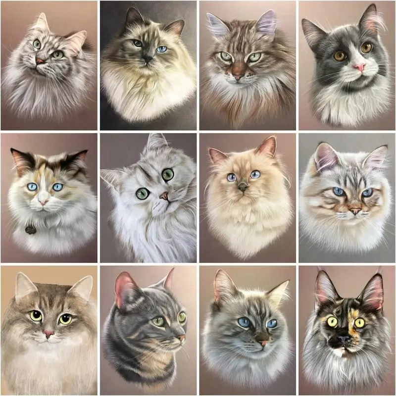 CHENISTORY Paint By Number Cute Cat Animal Diy 40*50cm Frame Kits For Adults Handpainted Picture By Number Home Decoration Gift