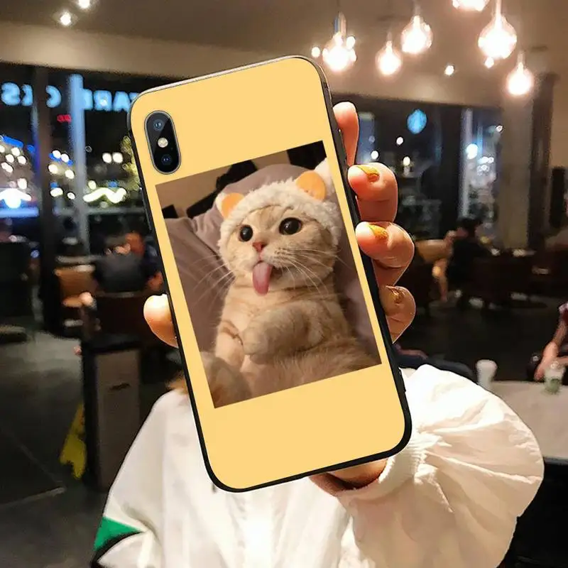 

Aesthetic Cute Animal Cat pattern Phone Case for iPhone 11 12 pro XS MAX 8 7 6 6S Plus X 5S SE 2020 XR