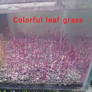 colorful leaf Водная трава 7 видов стилей аквариумные растения любовь пластиковая водная трава аквариумные растения Украшение Пейзаж орнамент - Цвет: colorful leaf