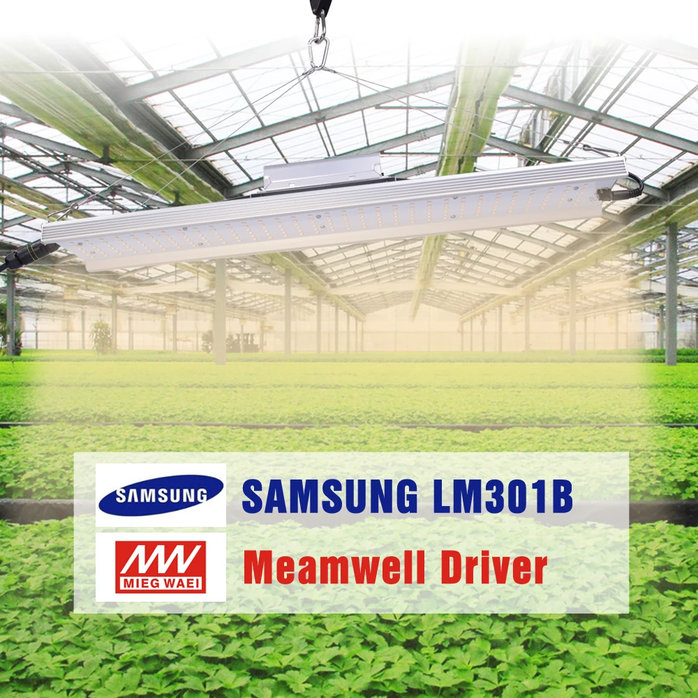 Квантовая плата привела растущий свет LM301B Чип Full Spectrum 3000K Mix 660nm Драйвер Meanwell Лампа