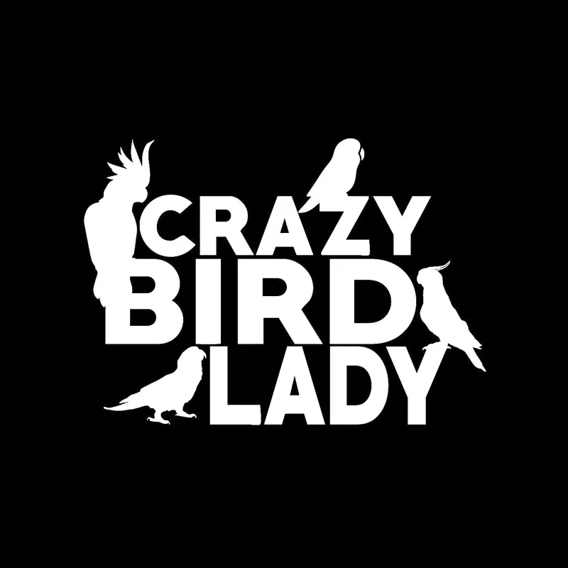 Dawasaru Crazy Птица Леди попугай мультфильм персонализированные Автомобильные