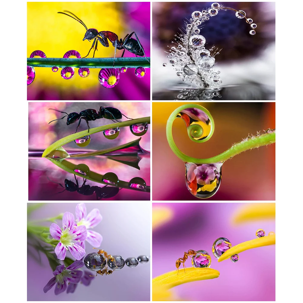 

Ant Dewdrop Flower 5D Diamond Painting DIY Kit Rhinestone Diamond Embroidery Mosaic Cross Stitch Decoration