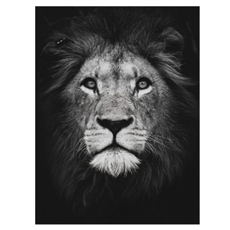 5D алмазная вышивка с животным львом сделай сам крестиком полностью квадратная