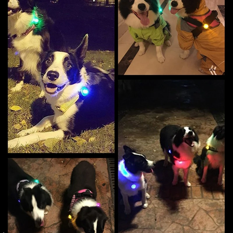 

Pet Night Safety Led Flashlight Cat Dog Collar Leads Lights Glowing Pendant Necklace Pet Bright Collar Pendant Glow In Dark