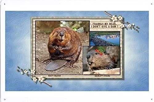 

Artistic tinplate painting Poster - Beaver Tin Sign