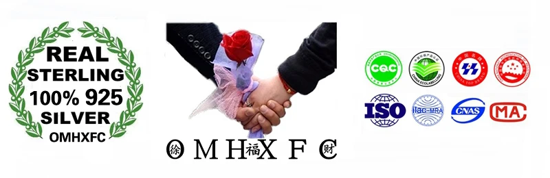 OMHXFC LY02 Европейская мода для женщин подарок на день рождения свадьбу Китайские знаки зодиака 925 пробы Серебряный кулон Шарм