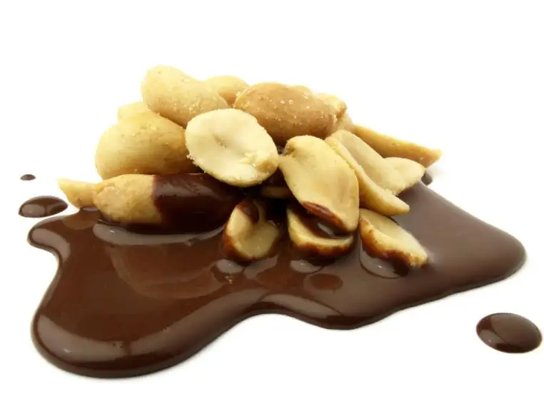 Электрический нержавеющая сталь шоколадный плавильная машина печь для шоколада