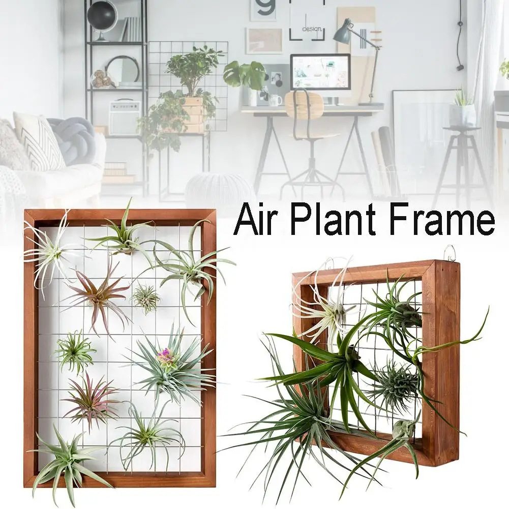 Воздушный растения каркас настенный держатель Air вешалка для растений стены